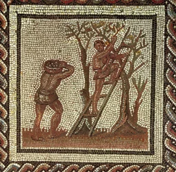 Raccolta di frutta, mosaico romano da Saint-Romain-en-Gal, Francia, 200-225 d.C.